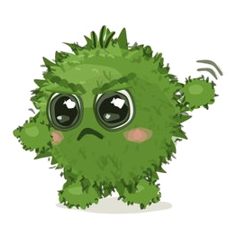Zoen